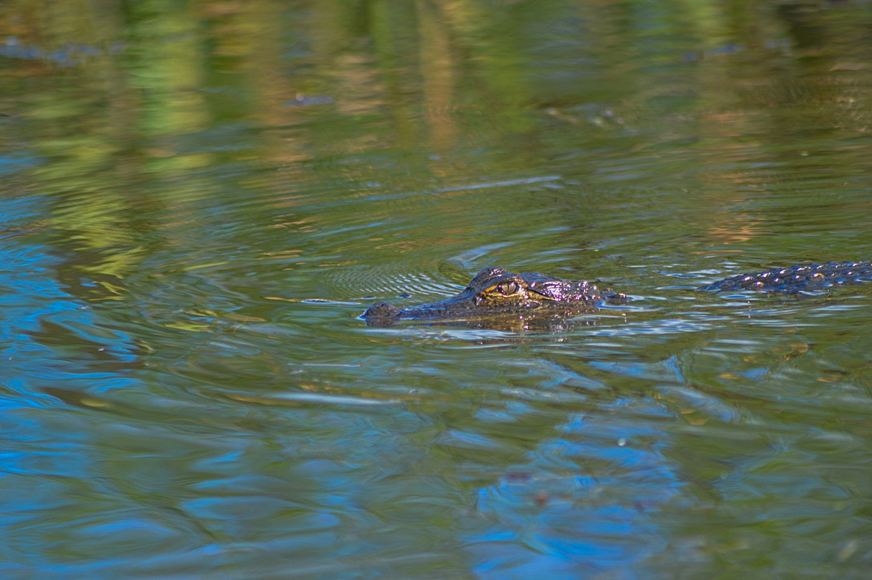 Photo by thisissofiapagan