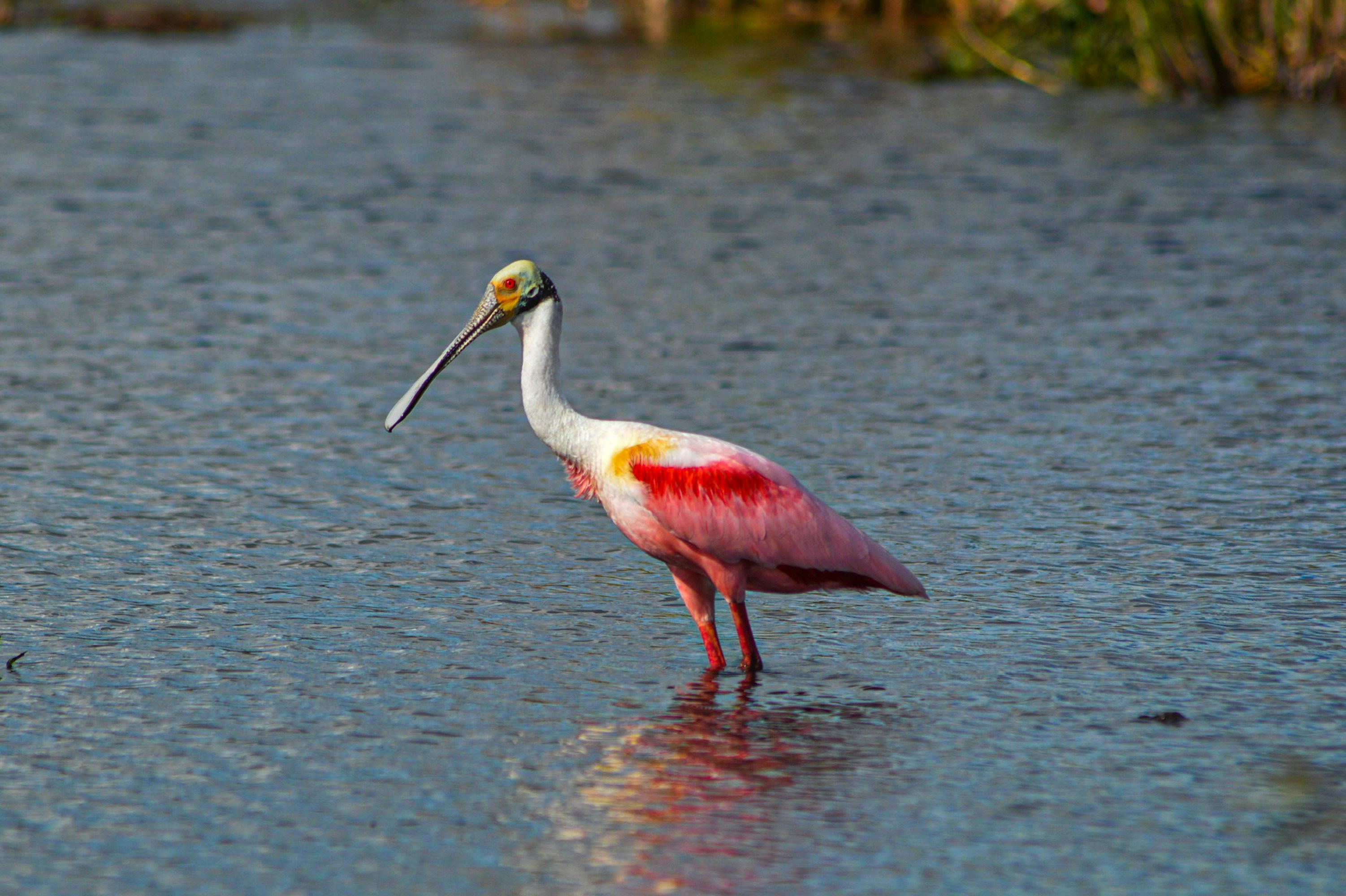 Photo by thisissofiapagan