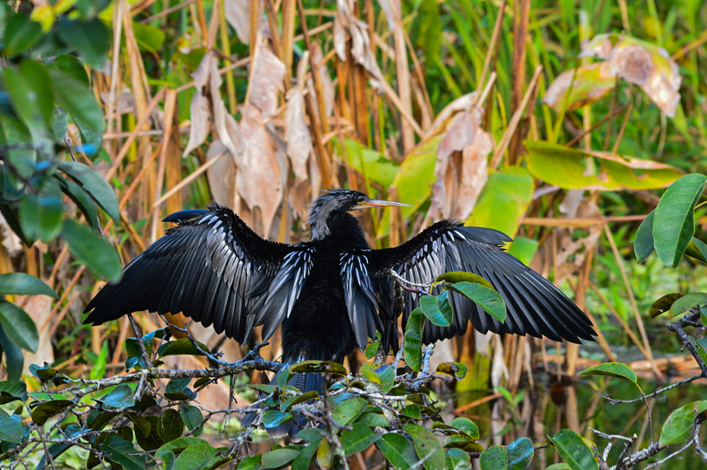 Photo by thisissofiapagan