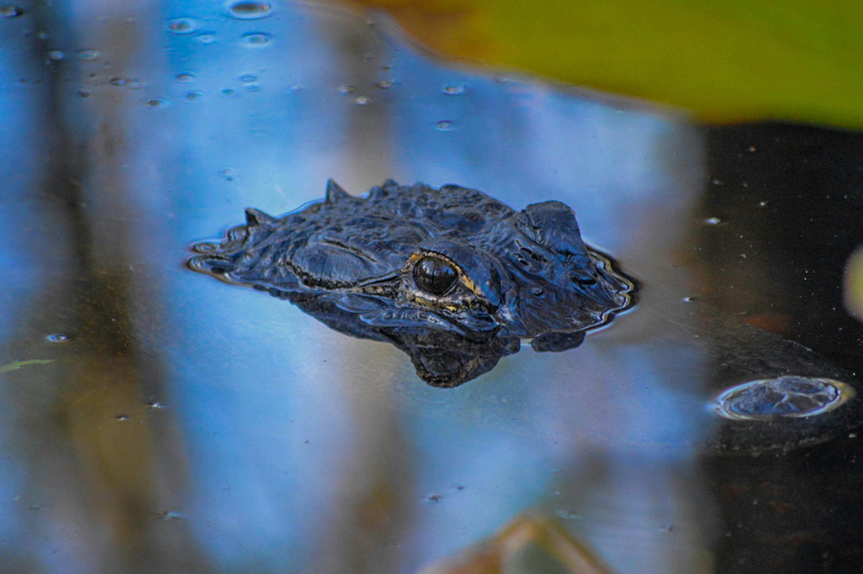 Photo by thisissofiapagan