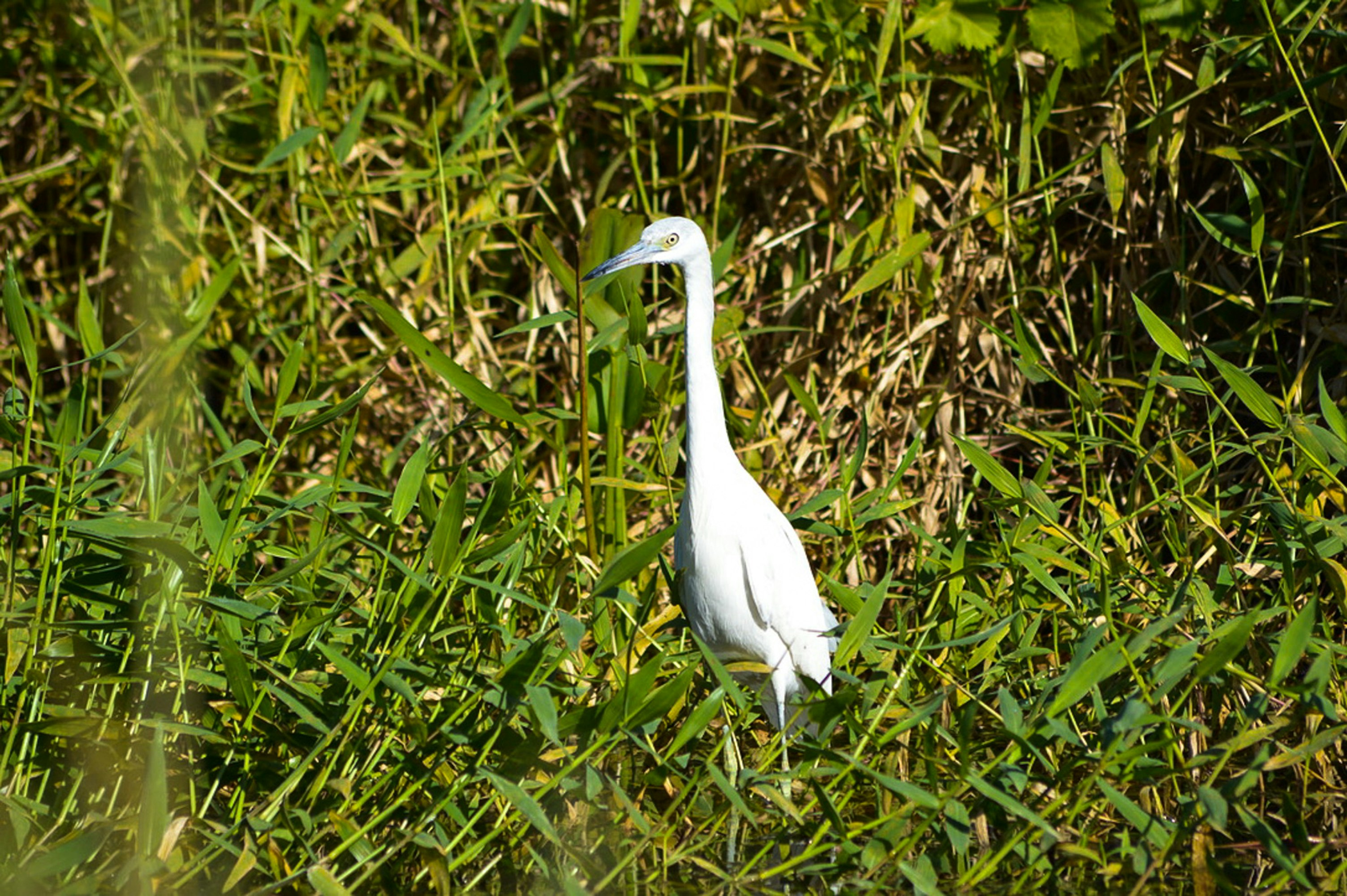 Photo by thisissofiapagan