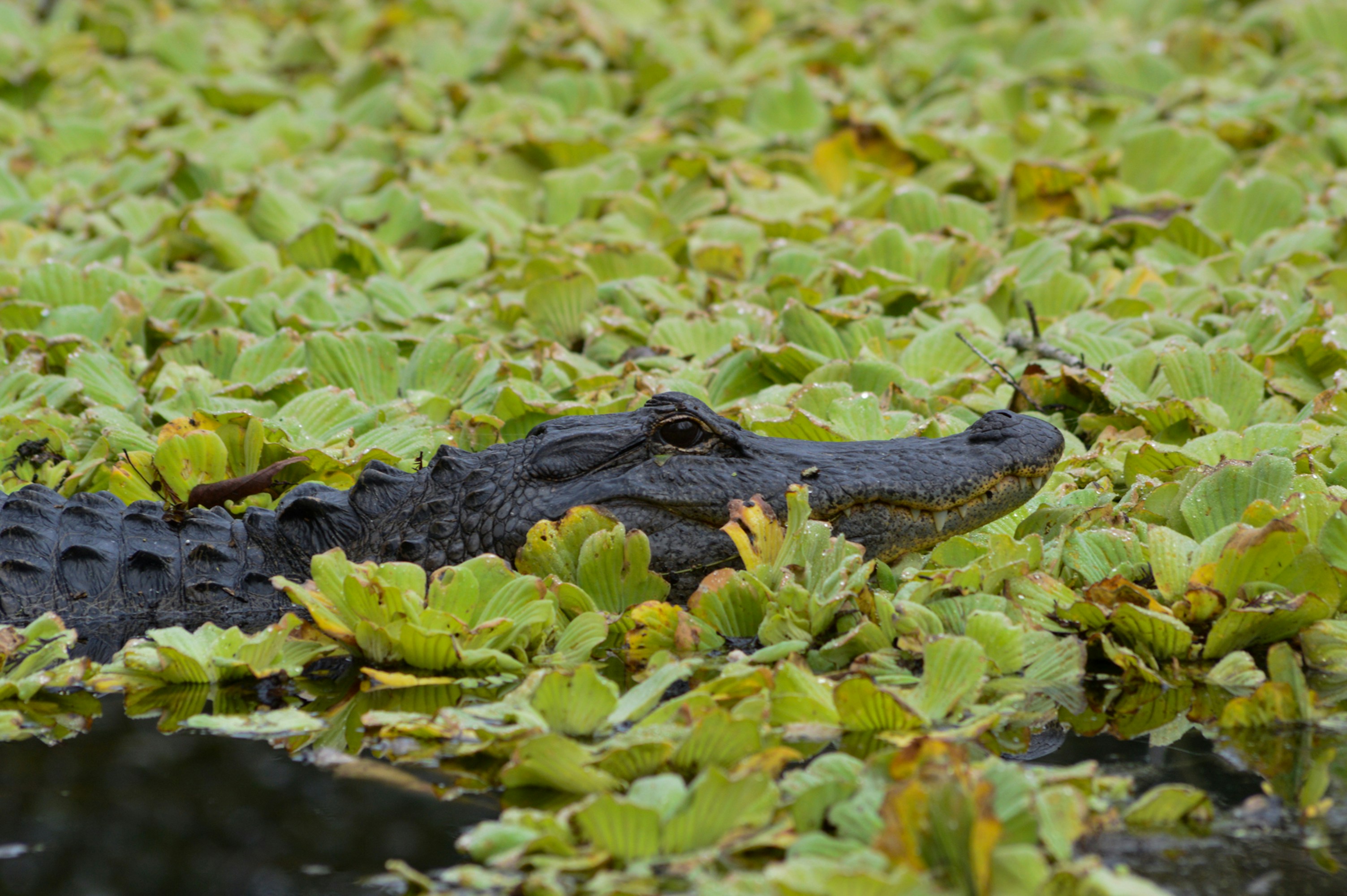 Photo by thisissofiapagan