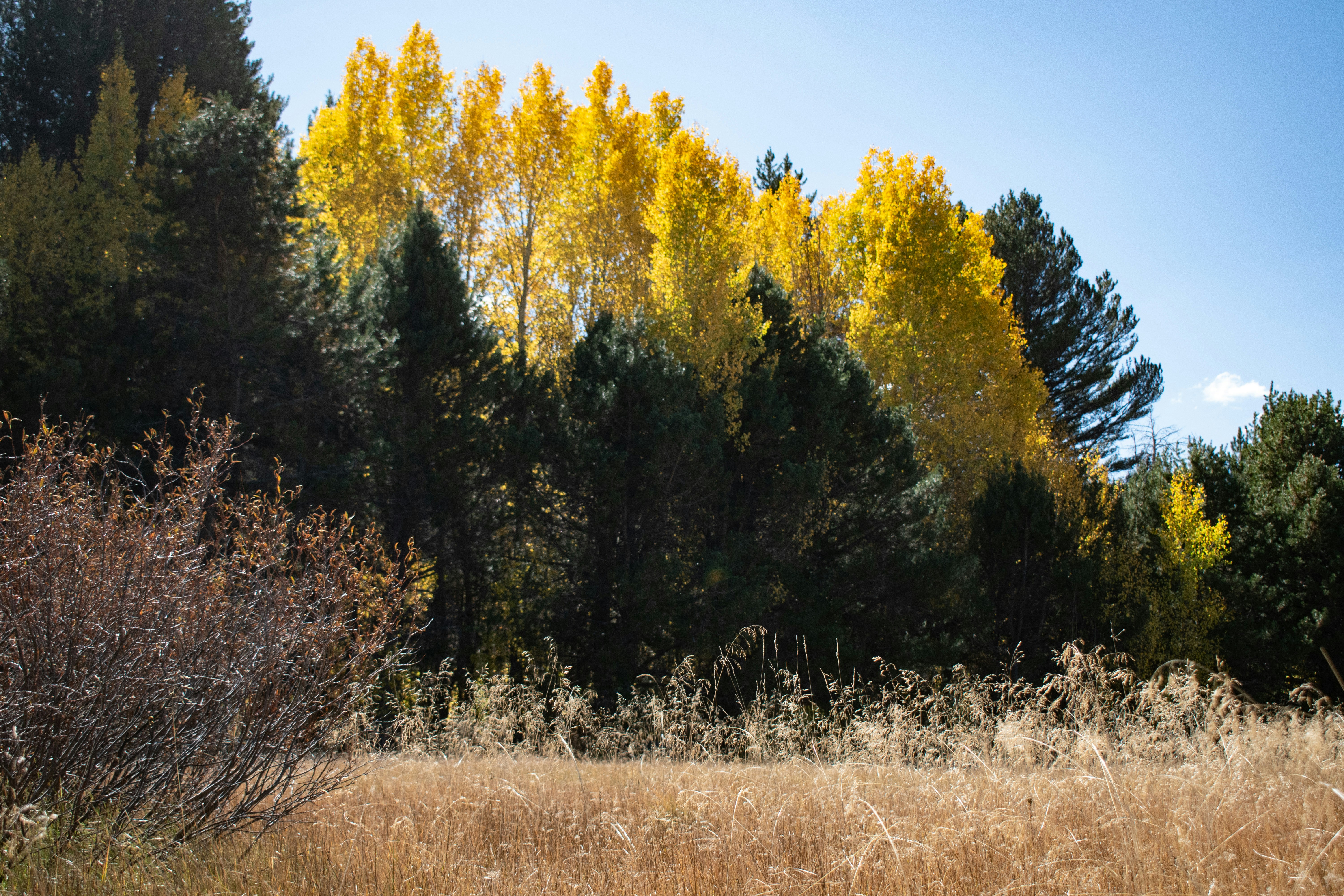 Photo by elisastonephotography