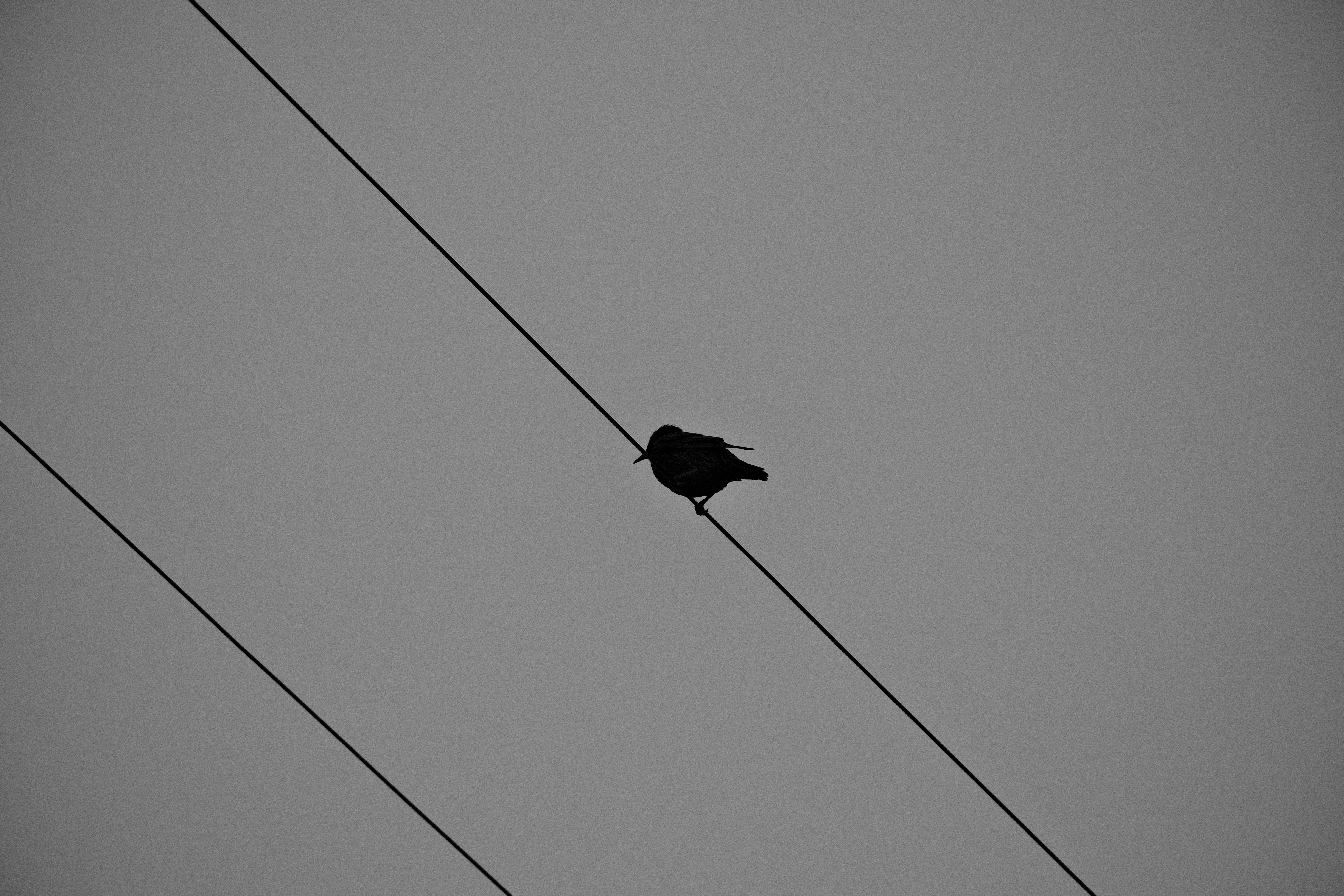 Photo by chandleraitchison