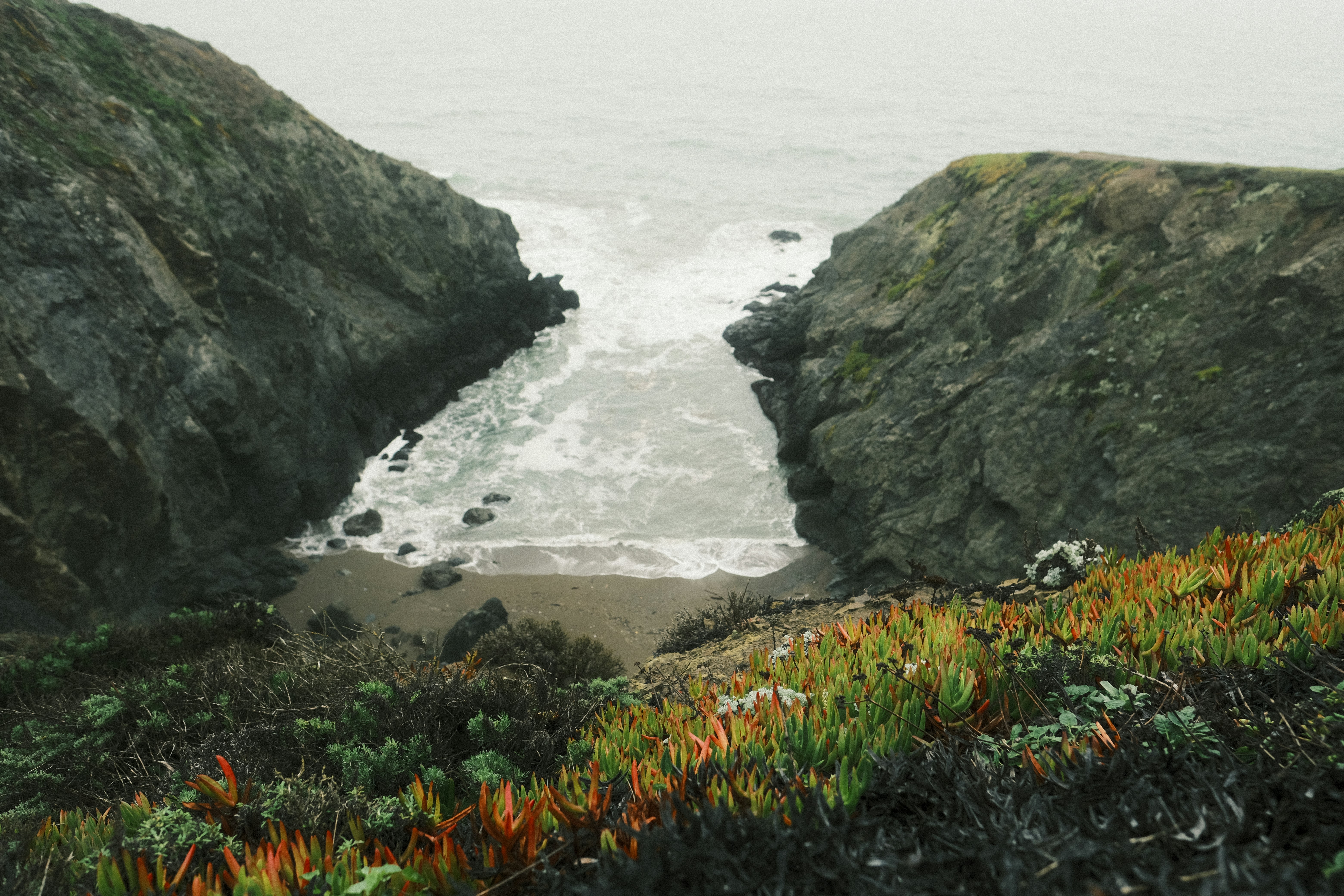 Photo by chandleraitchison