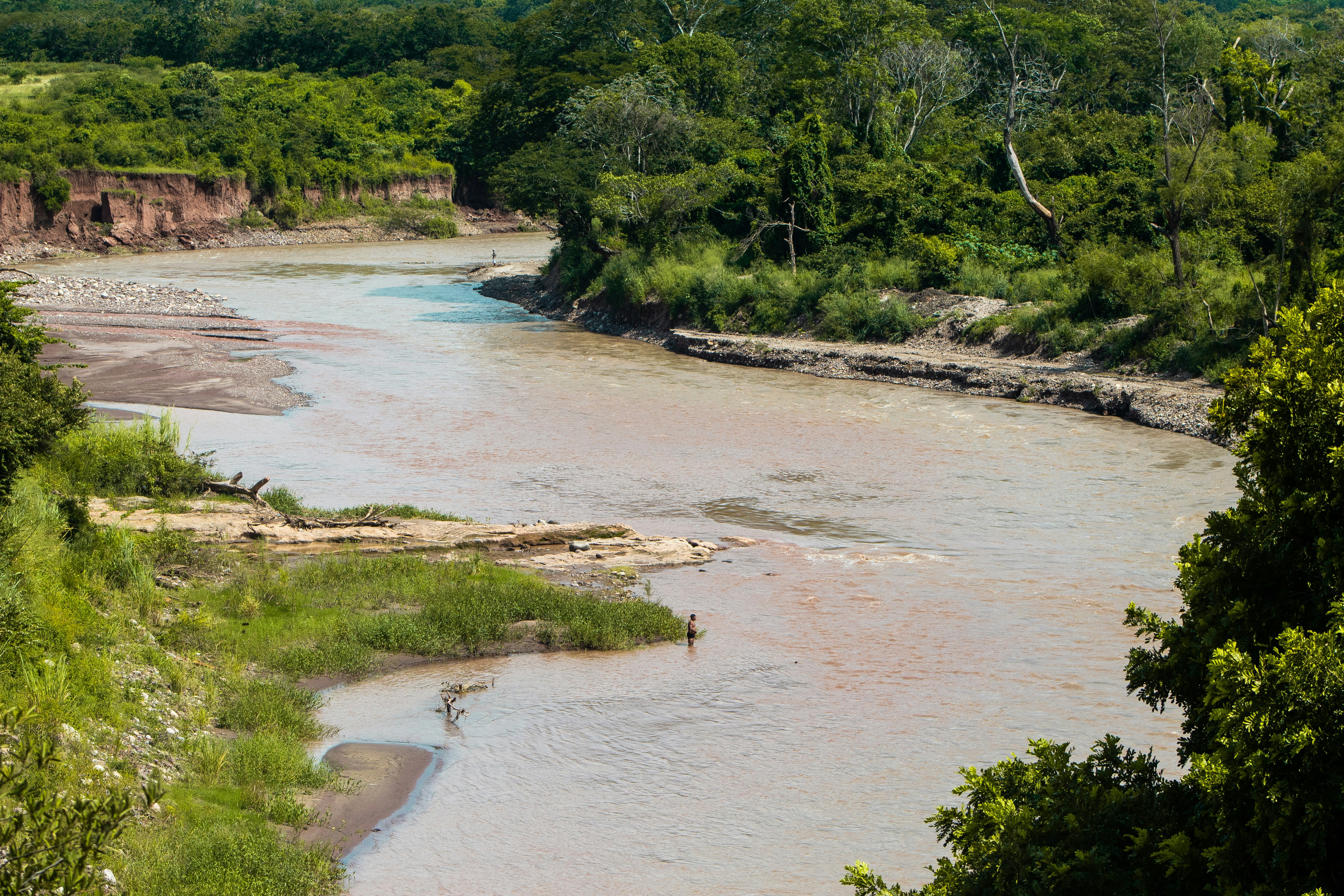 緑豊かな森の中を流れる川