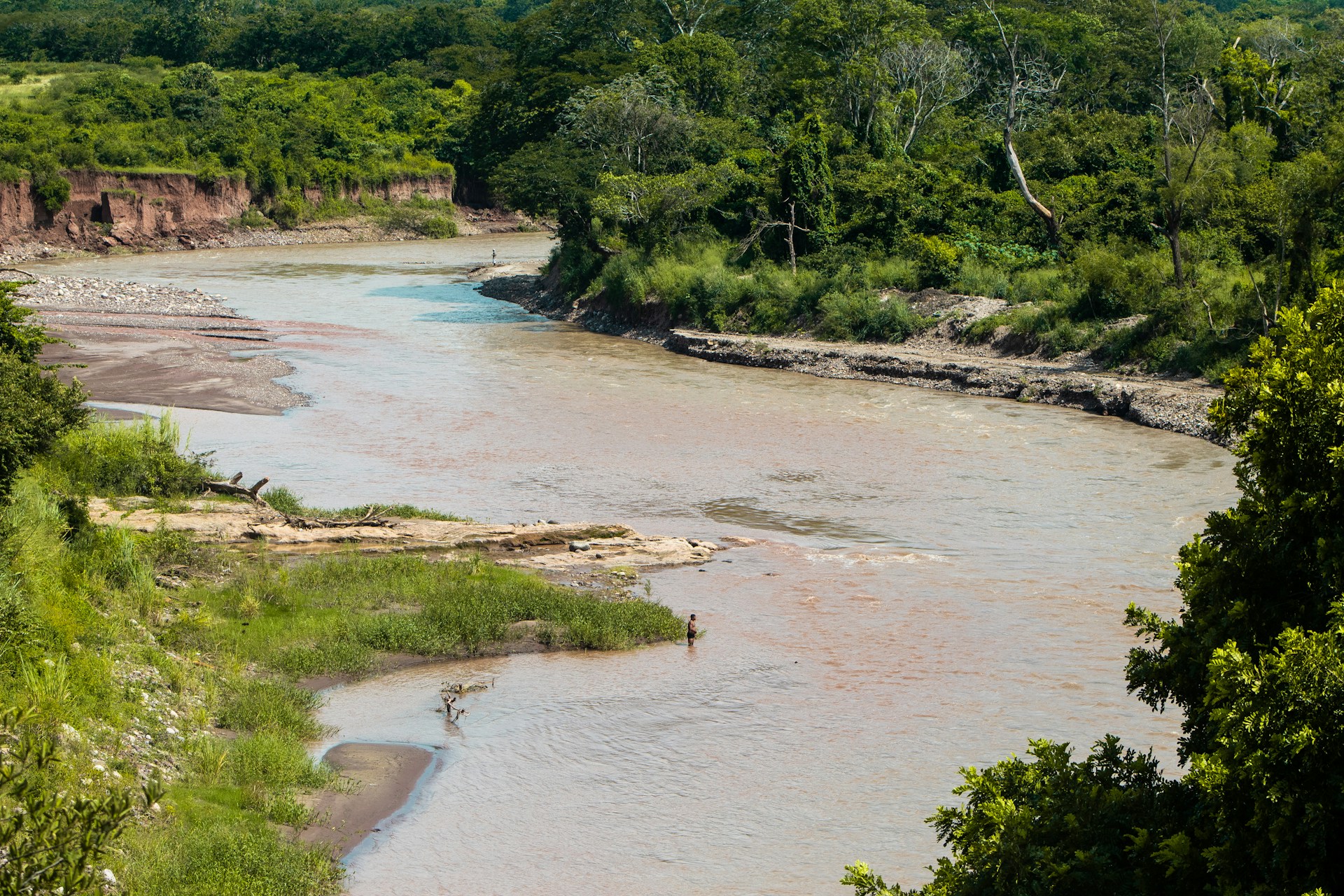a river running through a lush green forest