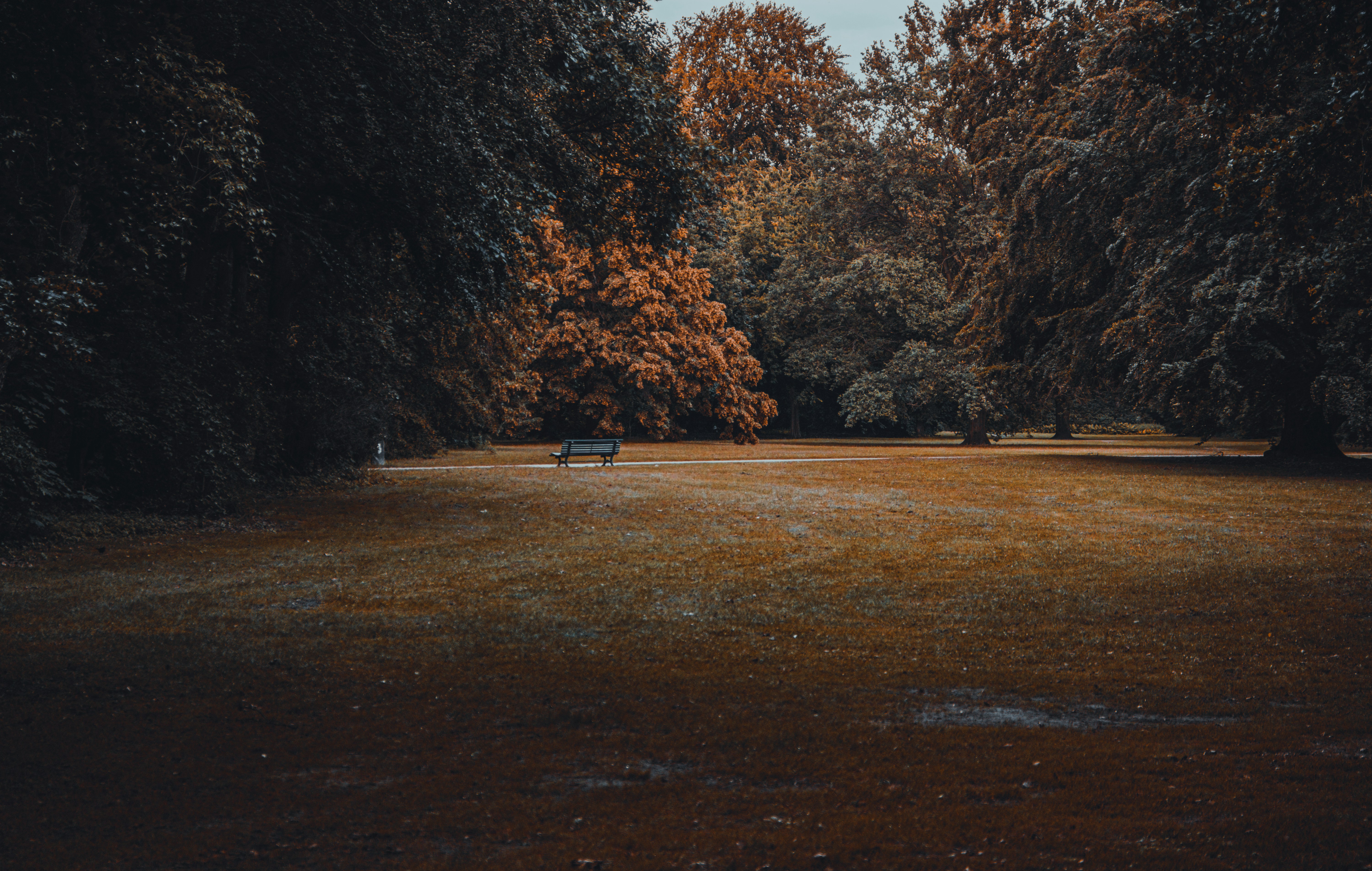 Photo by dynamicwang