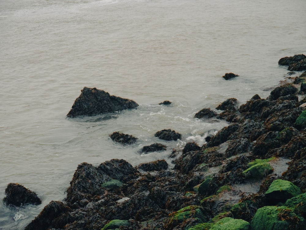 a body of water near a rocky shore