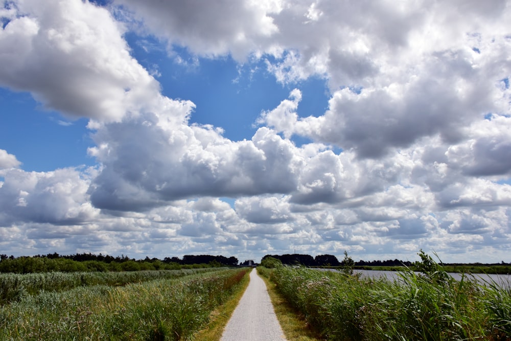 a dirt road in a grassy field under a cloudy blue sky