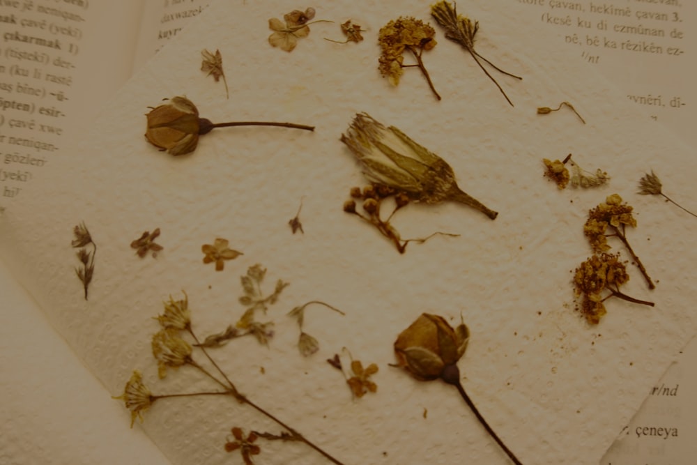 a book with dried flowers on top of it