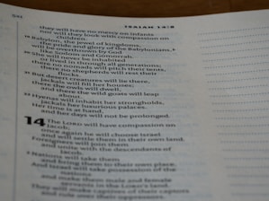 A page from the Bible, featuring text with chapter and verse numbers. The text is in English and includes references to Babylon and desert creatures.