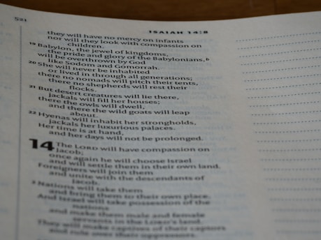 A page from the Bible, featuring text with chapter and verse numbers. The text is in English and includes references to Babylon and desert creatures.