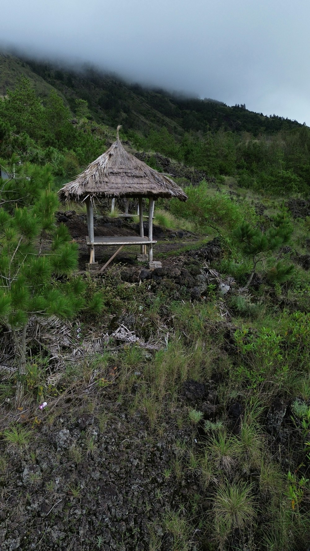 a gazebo in the middle of a grassy hill