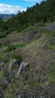 A natural landscape featuring lush green hills covered with dense trees. In the foreground, there are two stone pedestals with wooden ladders leaning against them, surrounded by rocky terrain and patches of grass. A pathway made of stone steps ascends a hill, leading into the forested area.