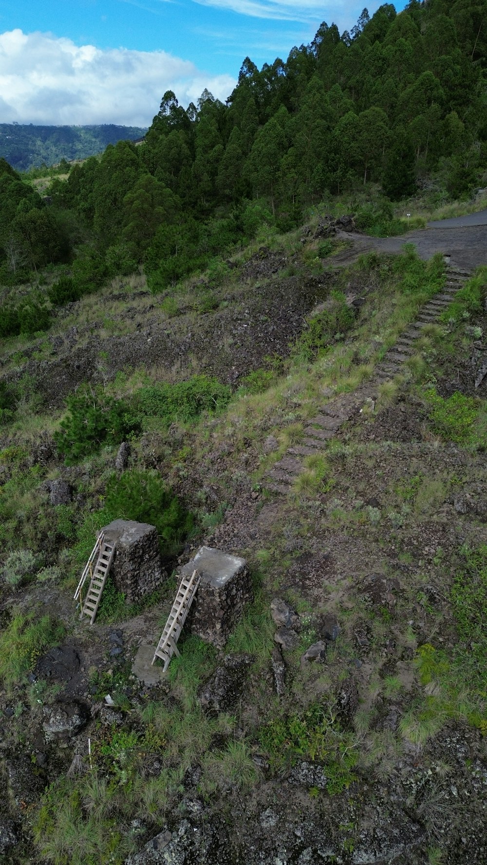 a couple of stairs going up a hill