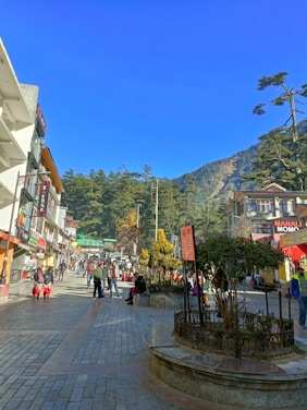 A vibrant street scene in Malalcahuello with local shops and mountain backdrop under clear sky.