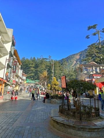 A vibrant street scene in Malalcahuello with local shops and visitors enjoying the atmosphere under tall native trees.