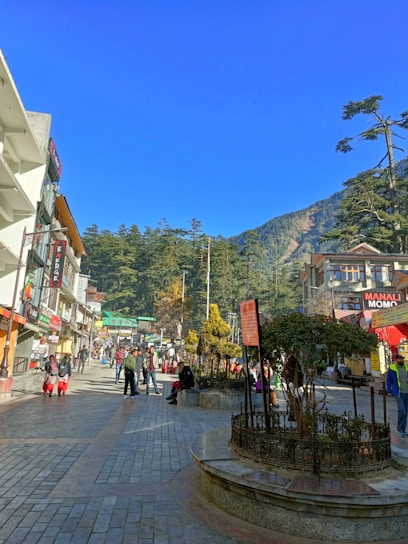 A vibrant street scene in Malalcahuello with local shops and mountain backdrop under clear sky.