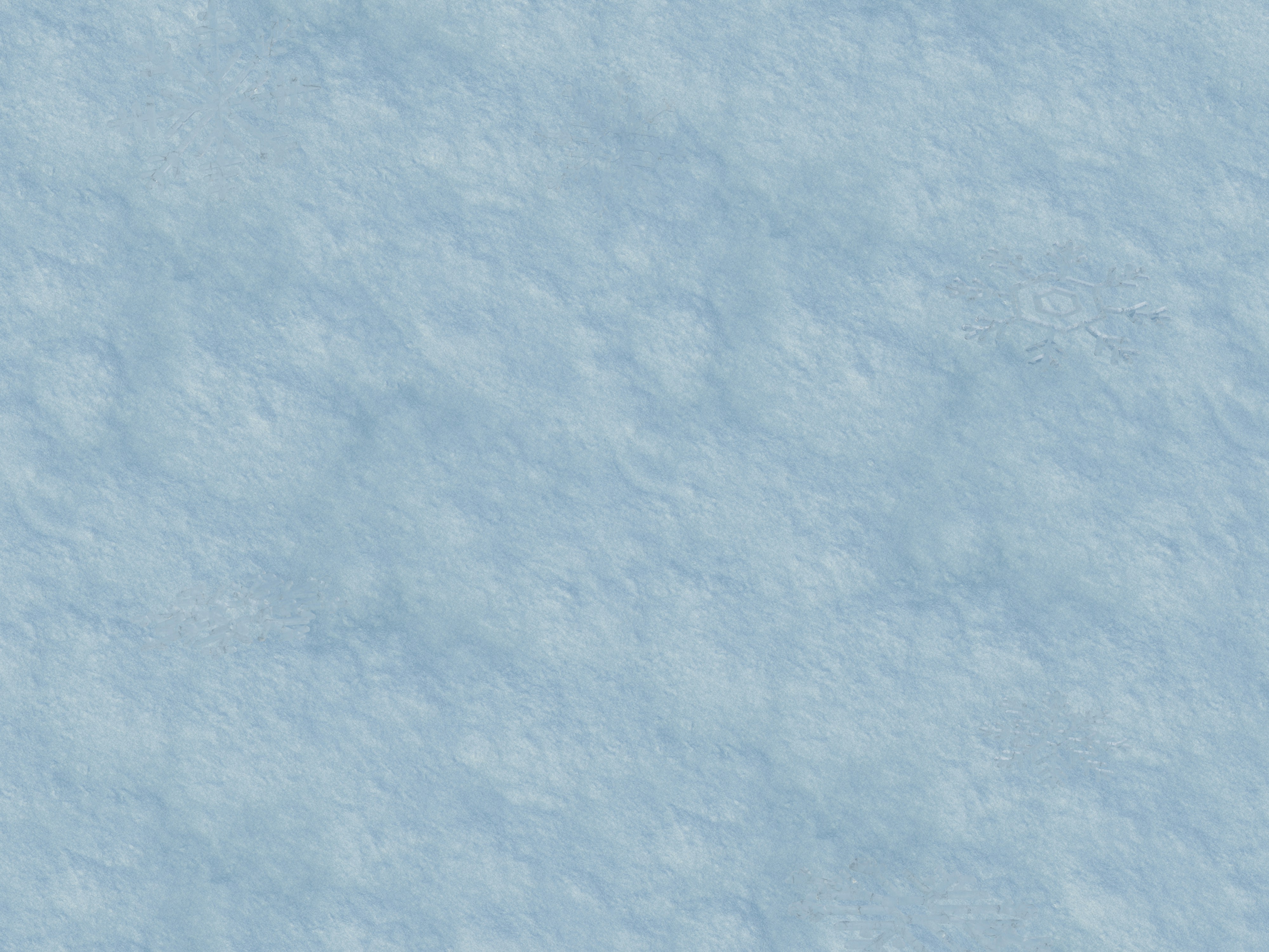 Photo by allisonsaeng