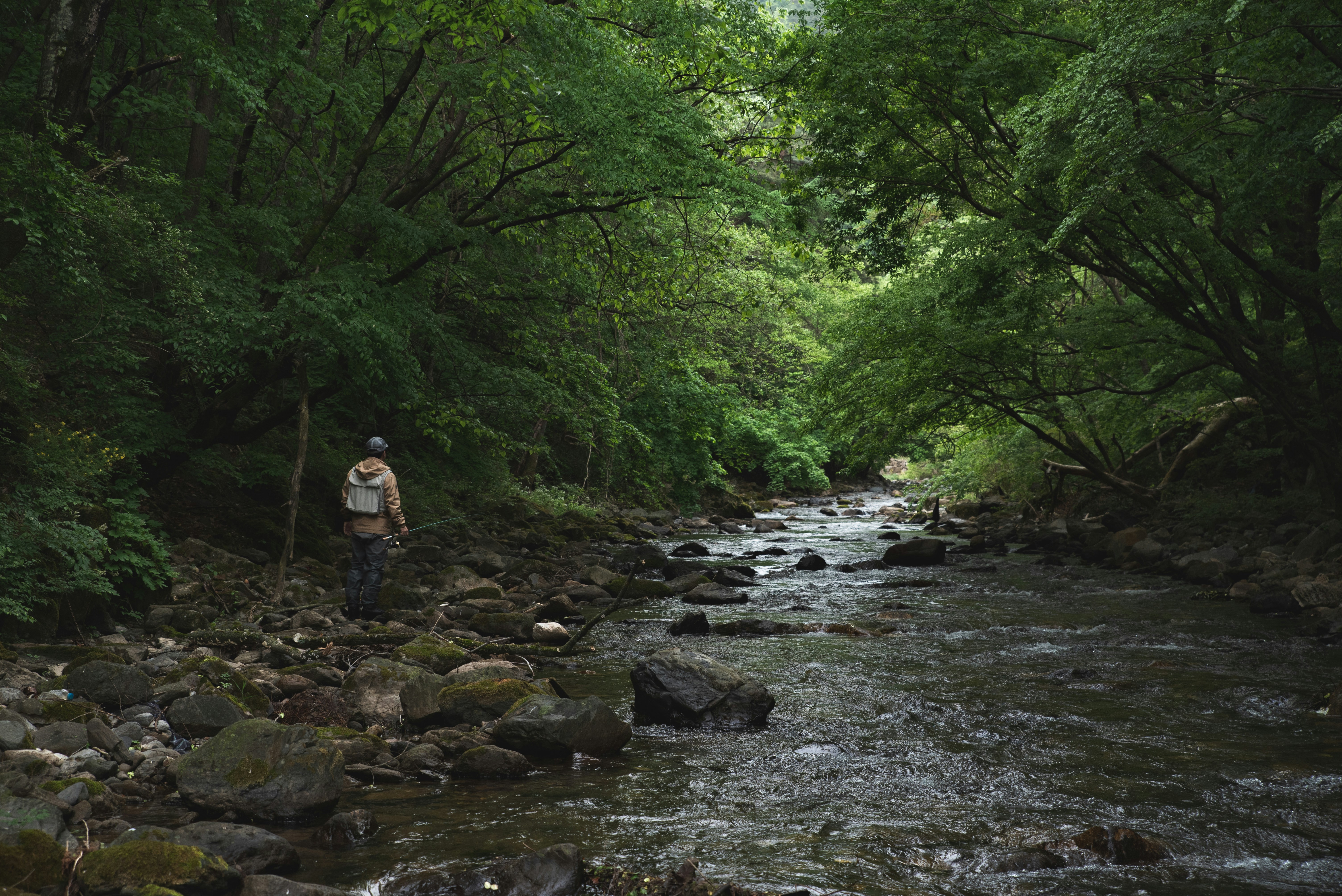 a man standing on a river bank next to a forest