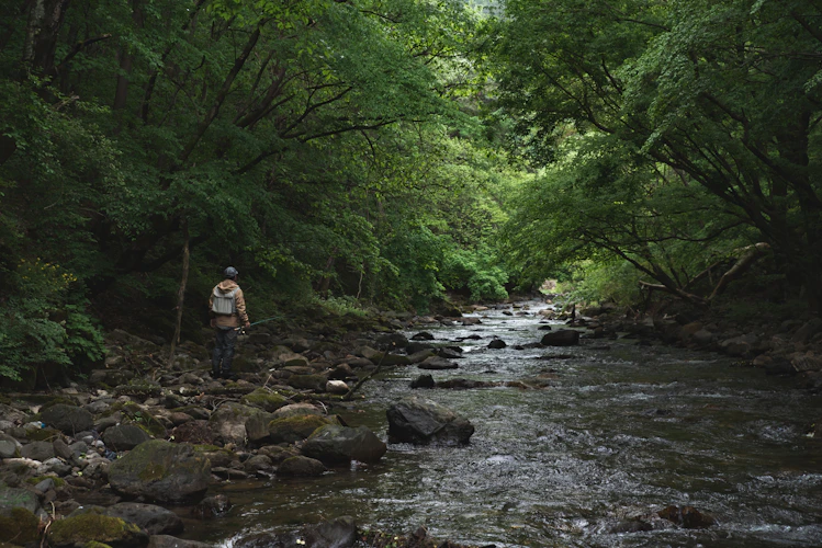 Mountain river with clear water and boulders