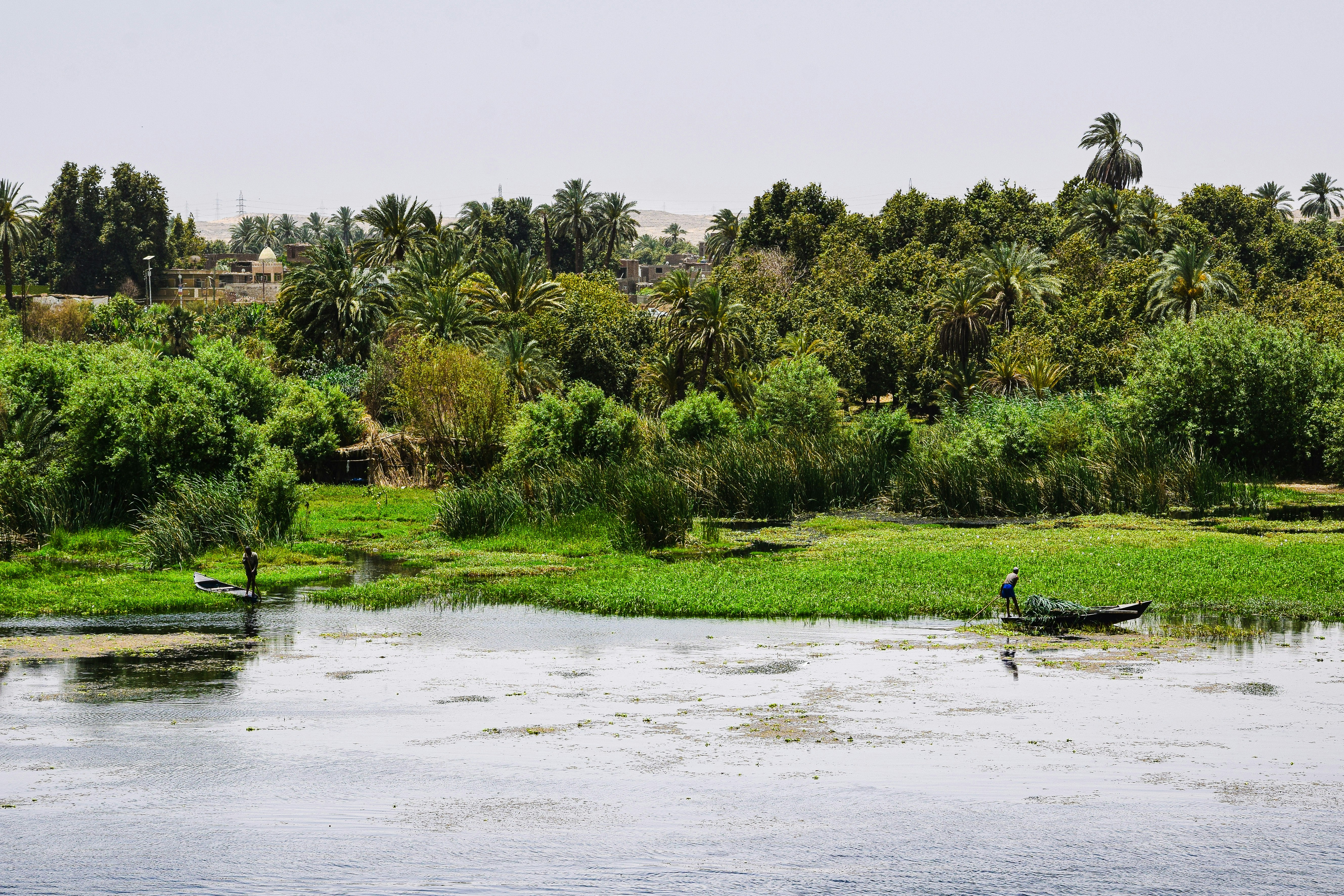 A man in a boat on a river surrounded by trees photo – Free Travel ...