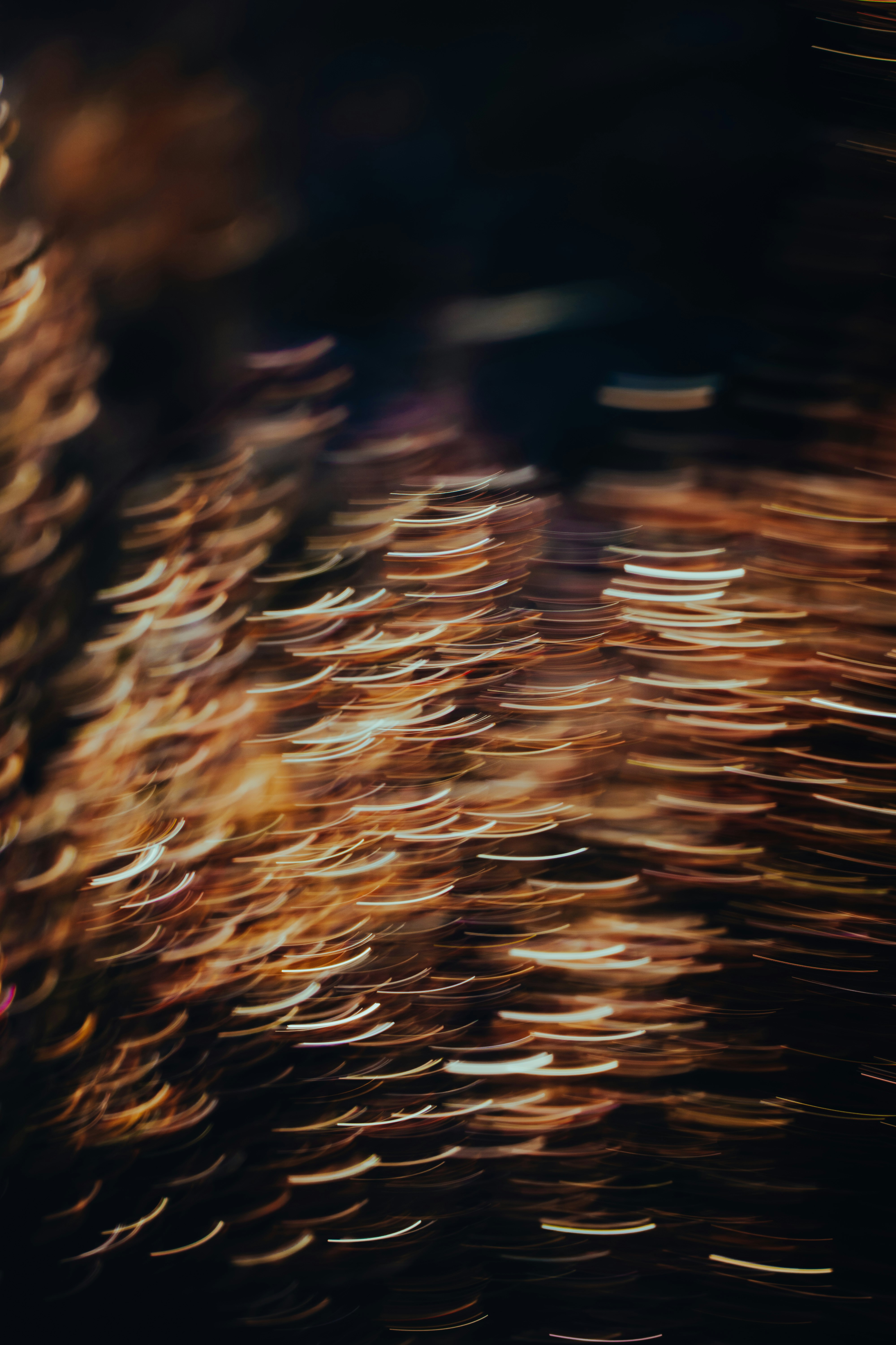 Photo by michielannaert