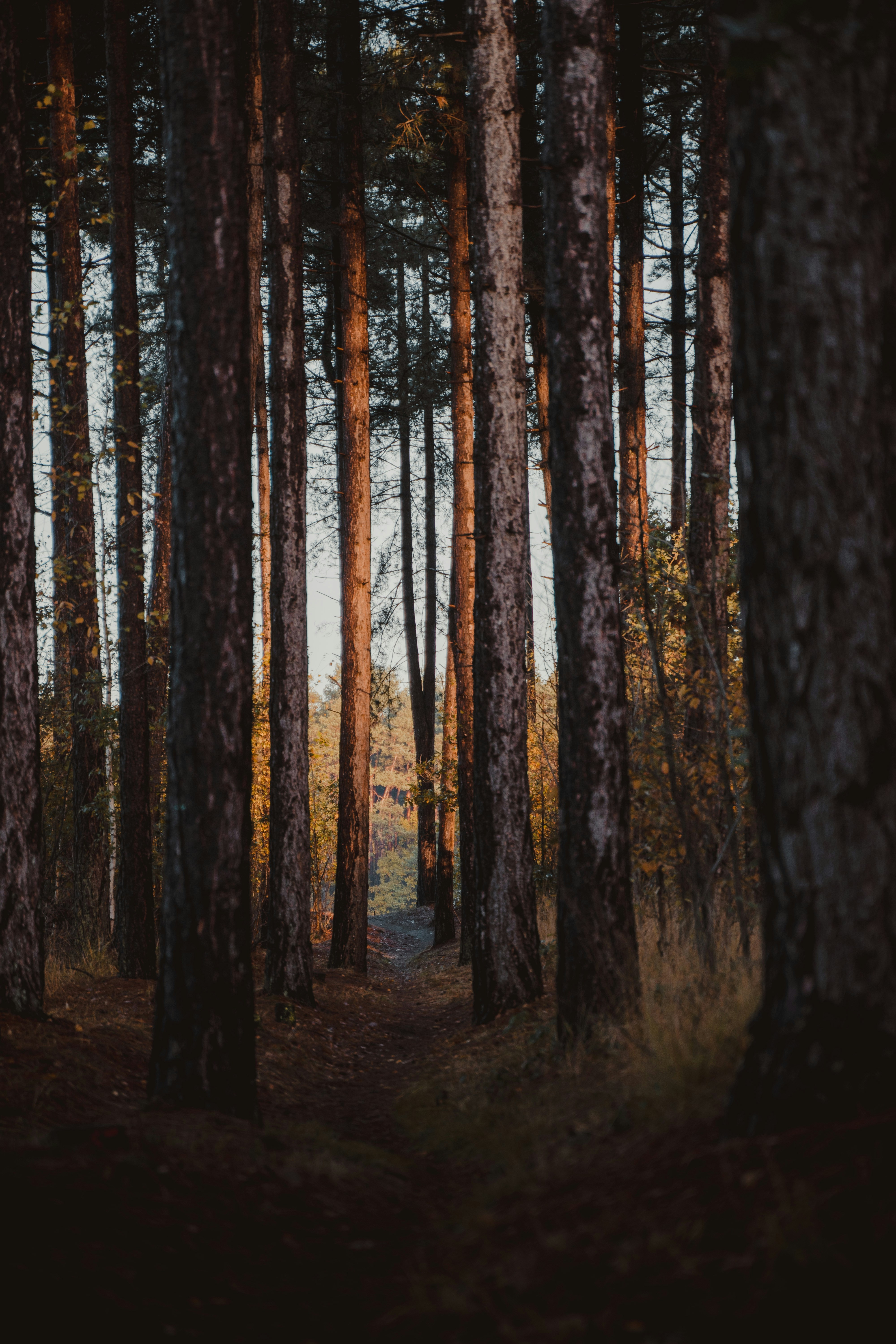 Photo by michielannaert