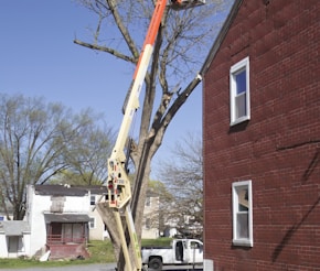 a man on a cherry picker trimming a tree