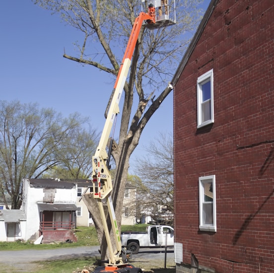 a man on a cherry picker working on a tree