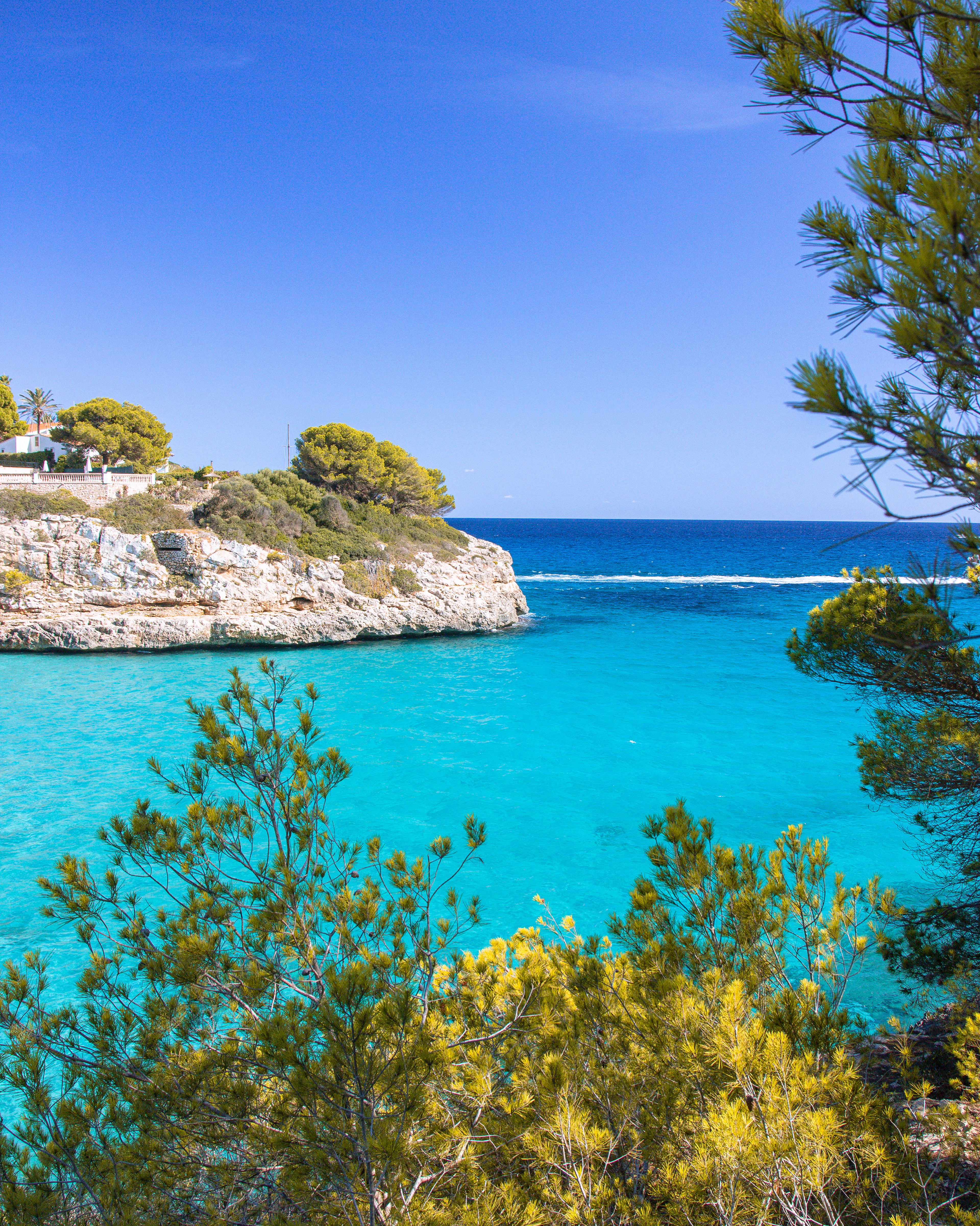 A turquoise cove framed by pine branches, with a small white building on the headland beyond.