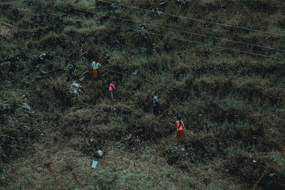 um grupo de pessoas em pé no topo de uma encosta verde exuberante