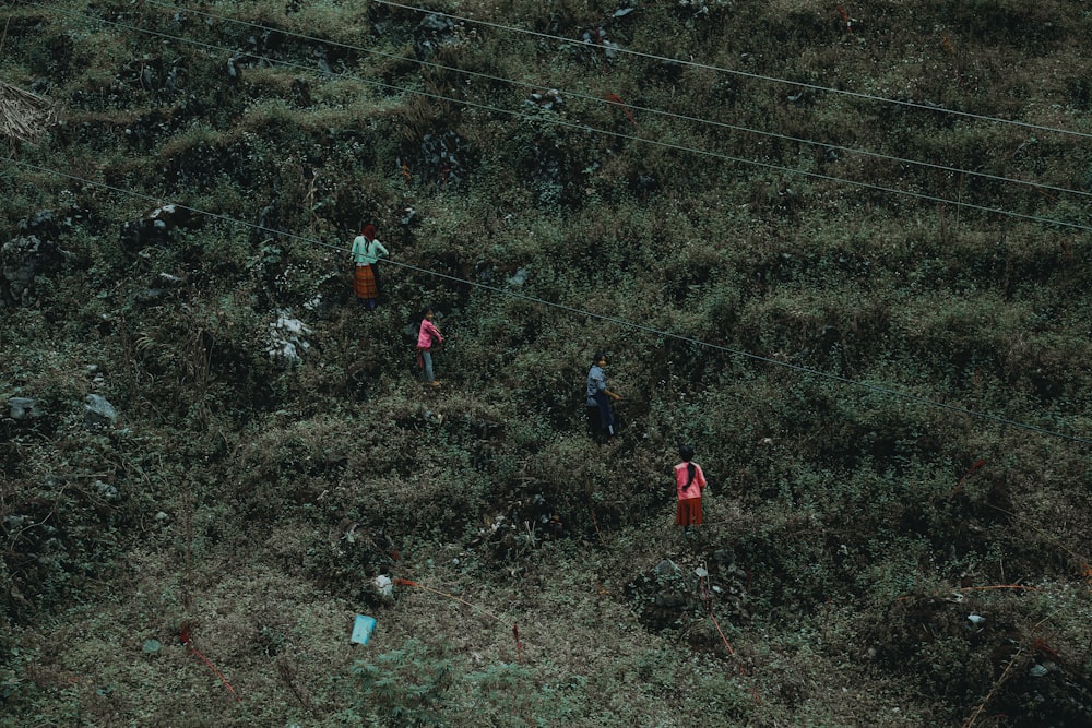 a group of people standing on top of a lush green hillside