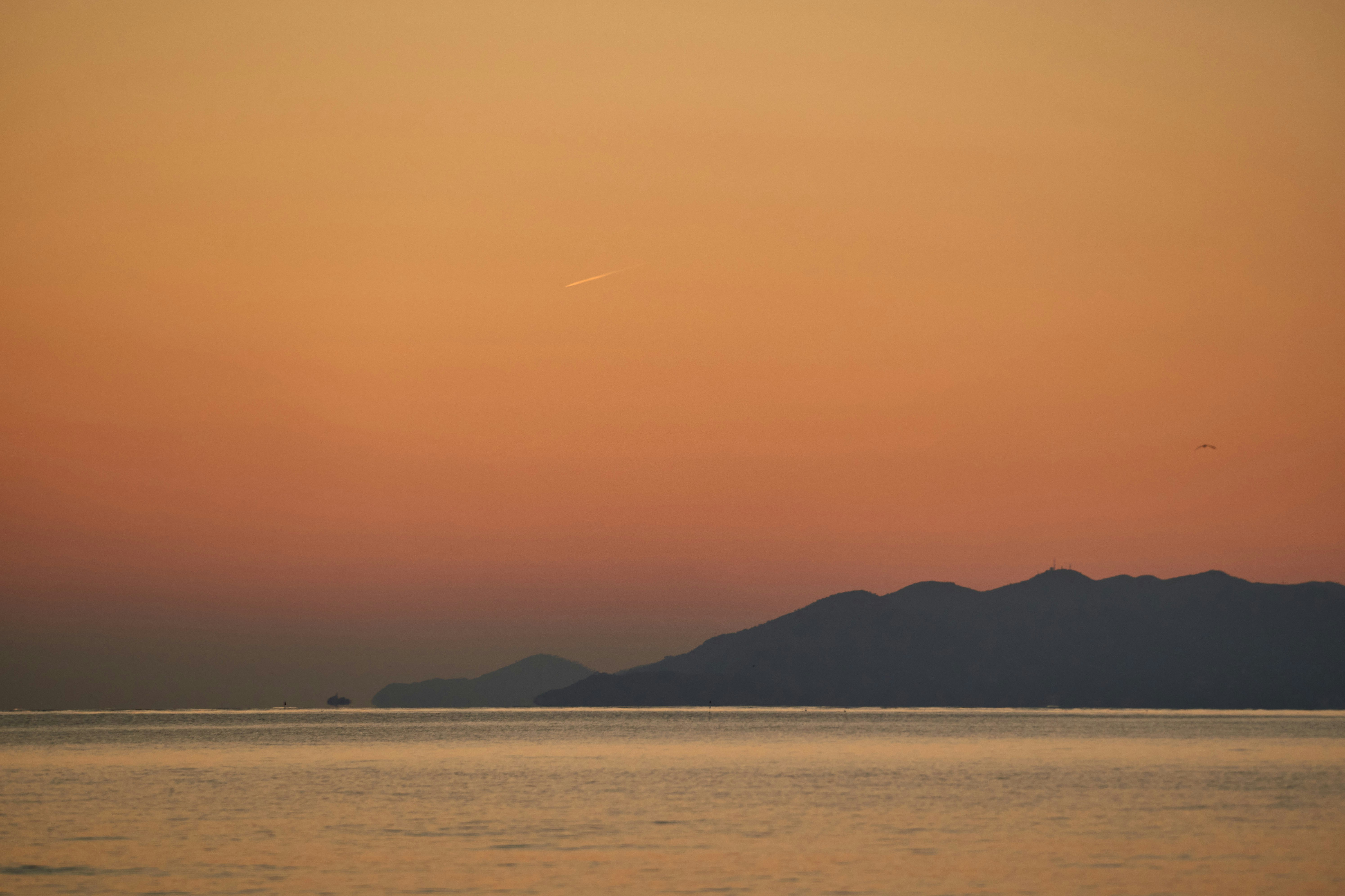 Photo by wolfgang_hasselmann