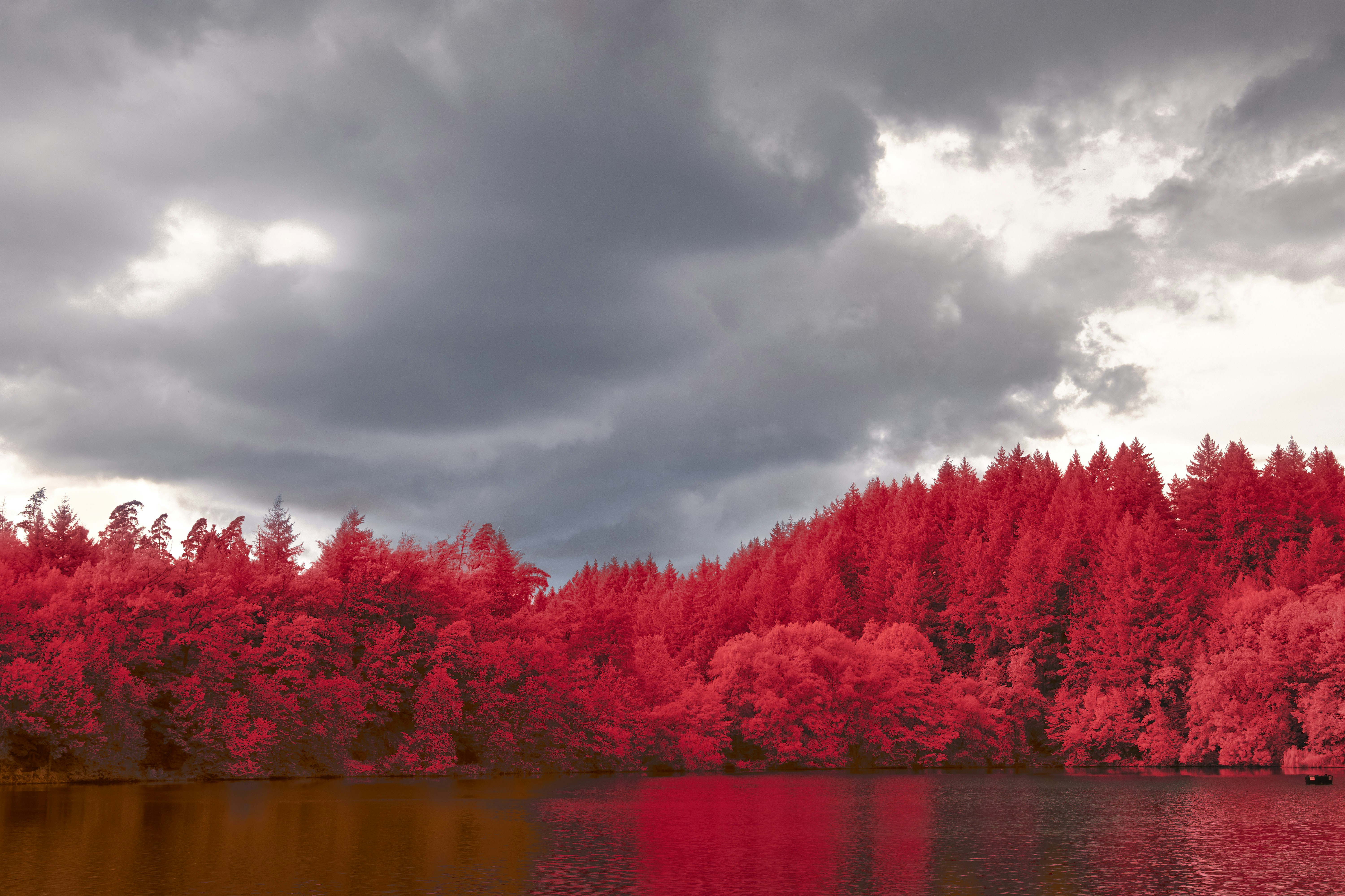 Photo by wolfgang_hasselmann