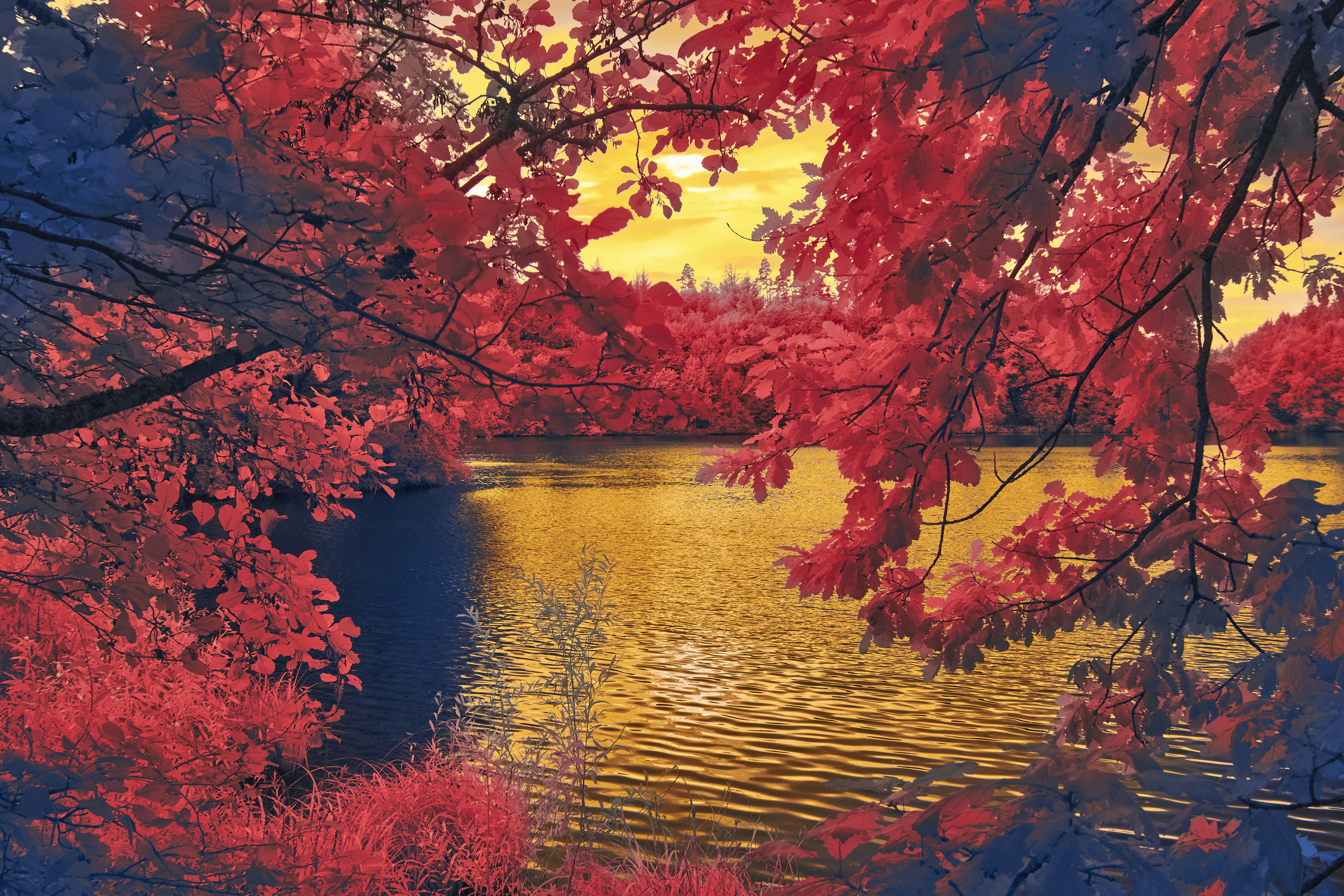 Photo by wolfgang_hasselmann