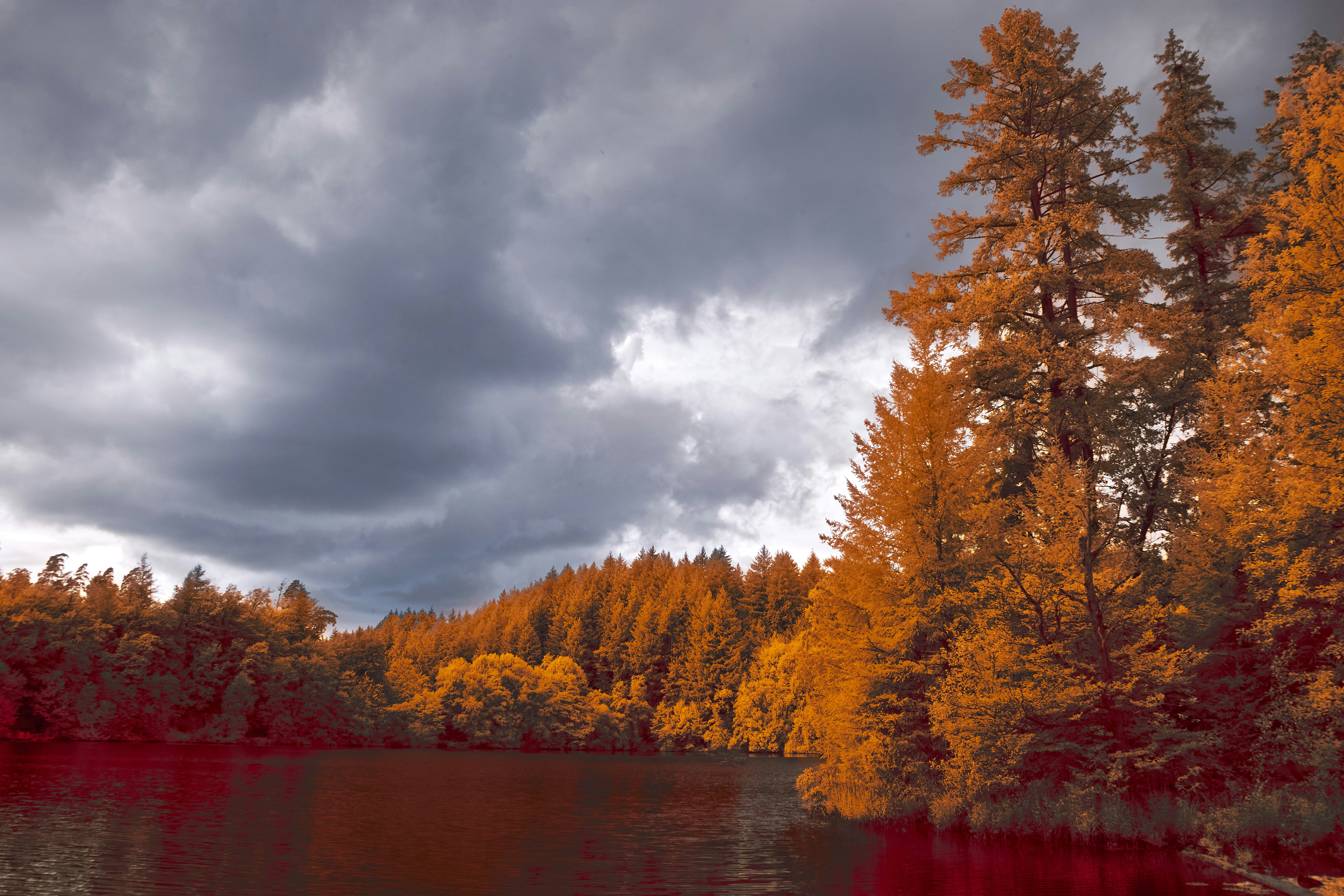 Photo by wolfgang_hasselmann