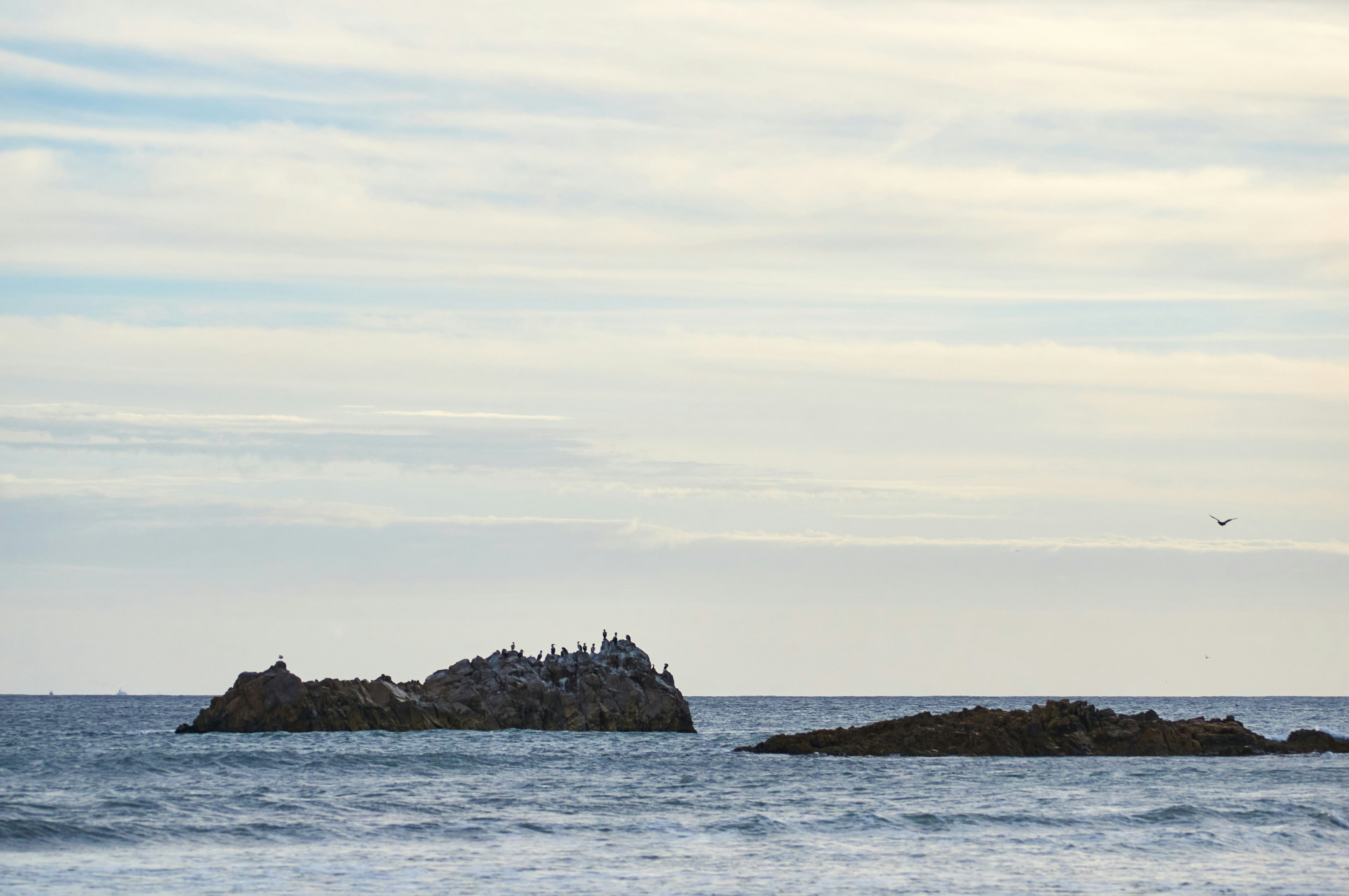 Photo by wolfgang_hasselmann