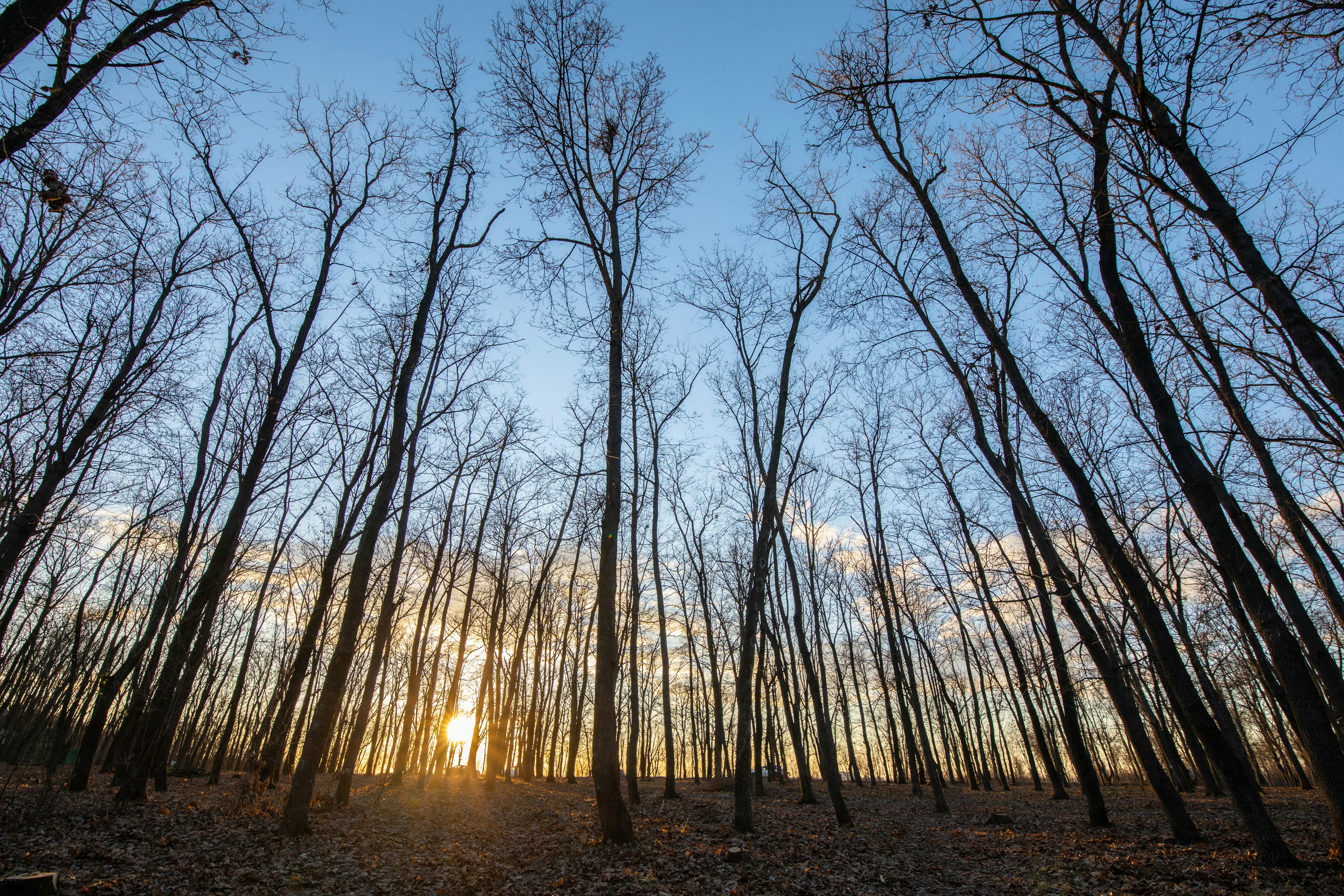 Photo by grigflagman