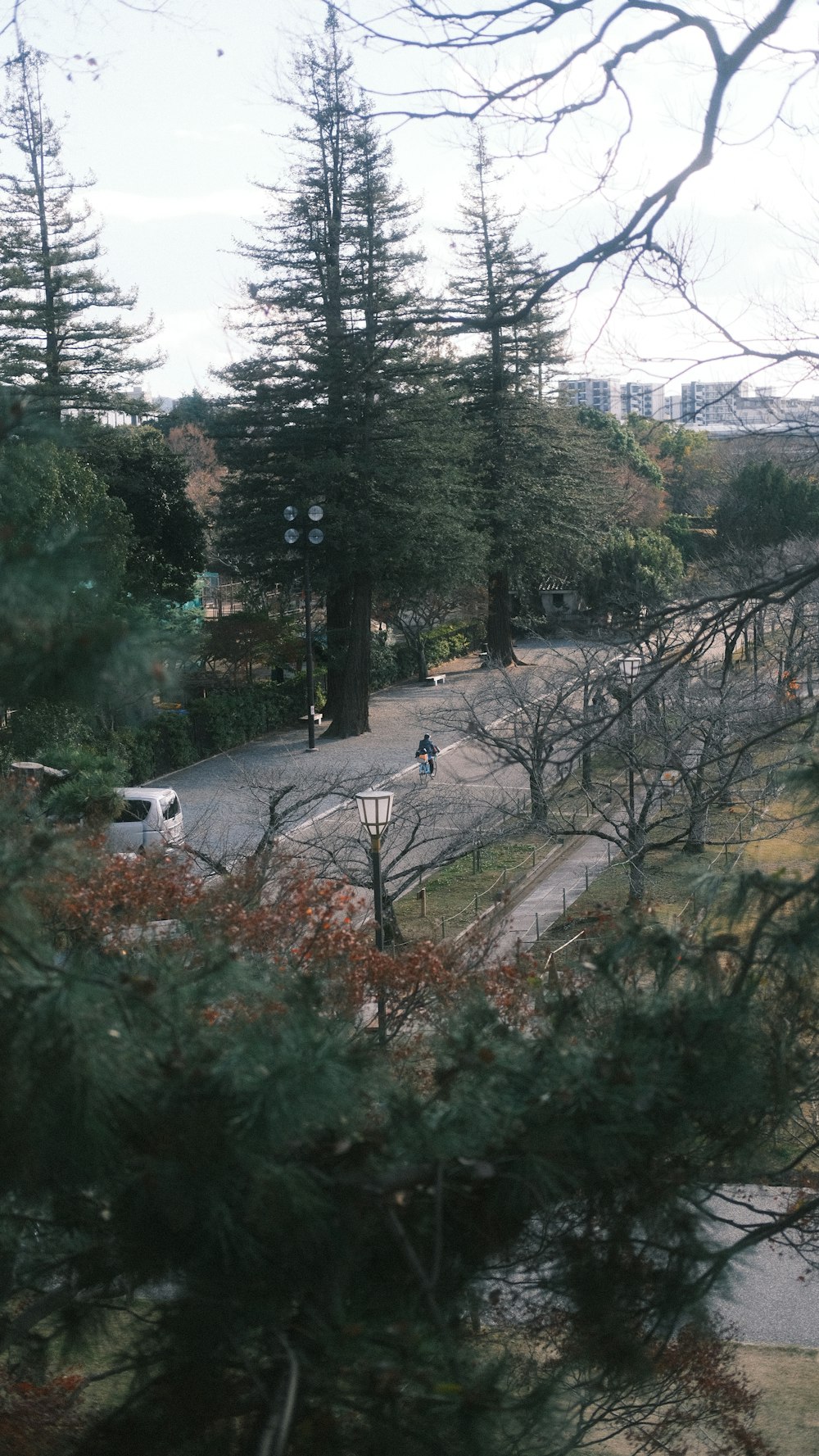 a view of a street with trees and a person on a bike