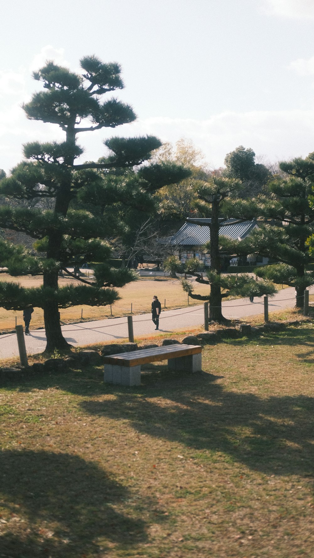 a park bench sitting in the middle of a park