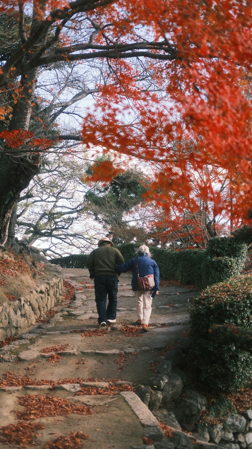 a couple of people walking down a path