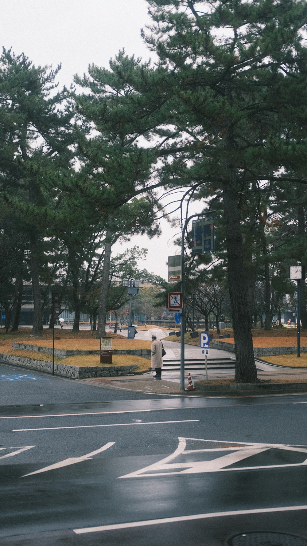 a person walking across a street next to trees