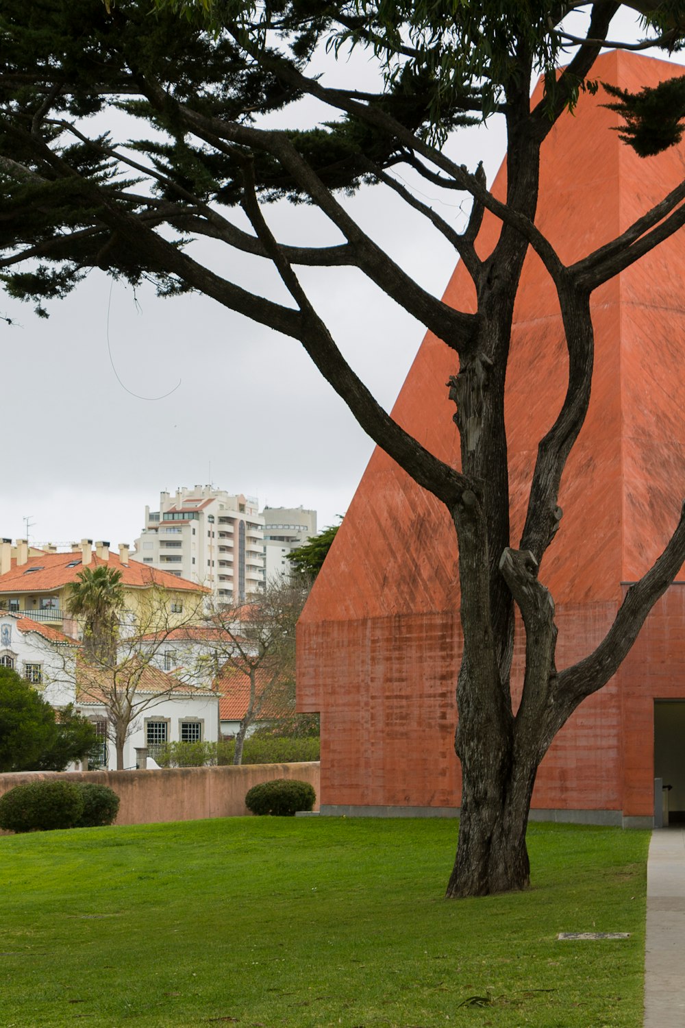 a tree in front of a large building