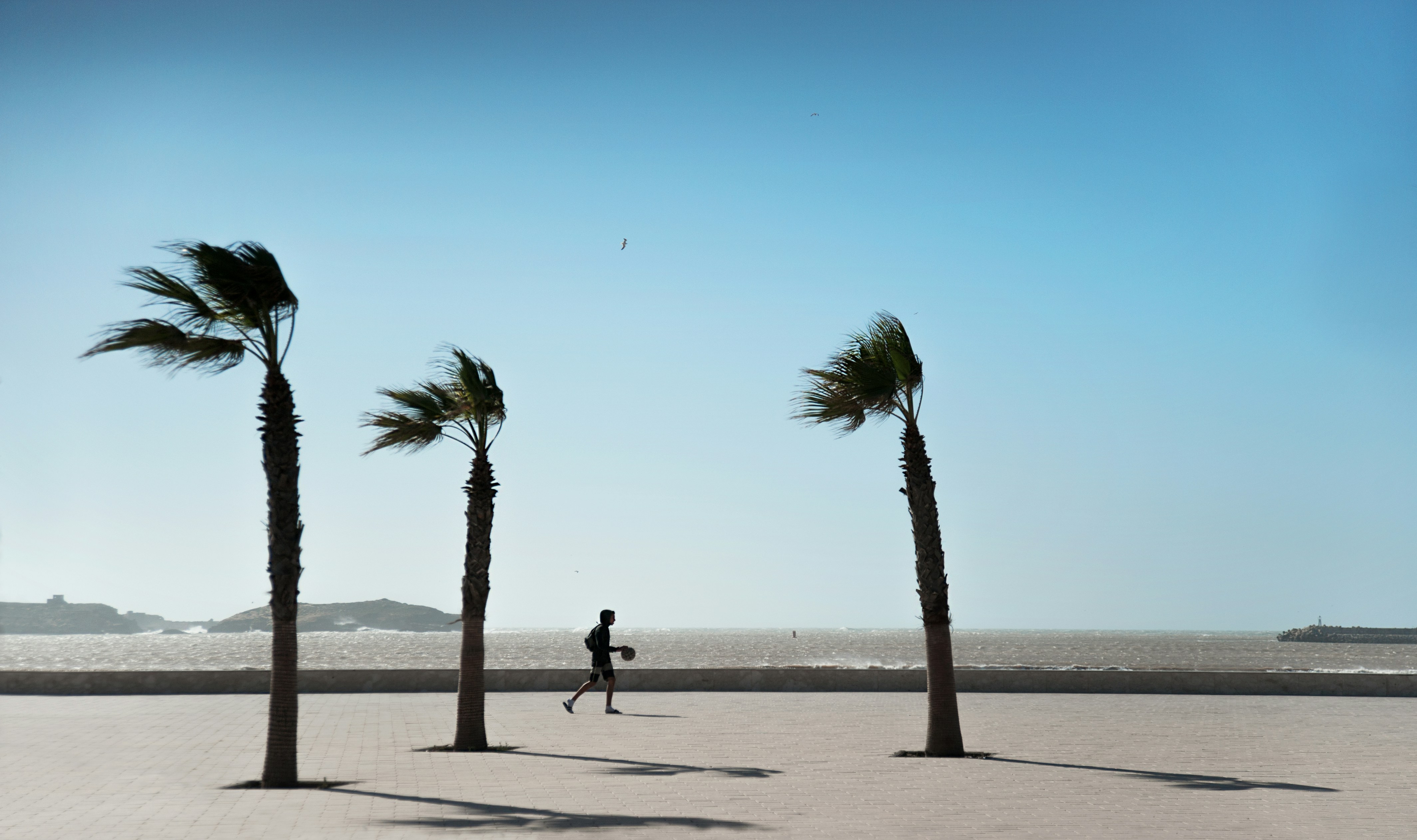 a person walking on a beach with palm trees, 
