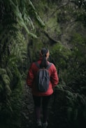 A person wearing a red jacket and backpack walks through a dense, lush green forest. The path appears narrow and surrounded by tall ferns and foliage. The lighting is dim, creating a tranquil and immersive natural setting.