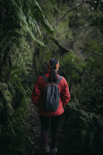 A traveler wearing a lightweight jacket and scarf, walking through a lush green forest trail