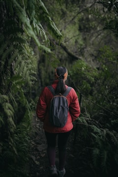 A person wearing a red jacket and backpack walks through a dense, lush green forest. The path appears narrow and surrounded by tall ferns and foliage. The lighting is dim, creating a tranquil and immersive natural setting.
