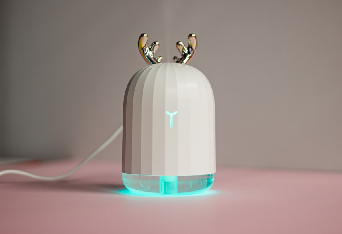 Make Moisture Adorable with a Cute Humidifier